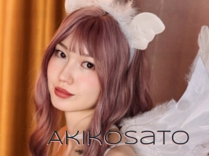 Akikosato