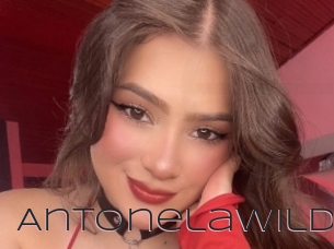 Antonelawildd