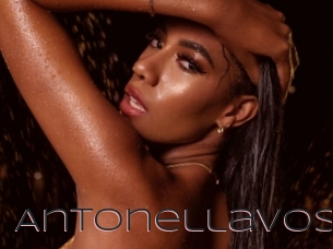 Antonellavoss