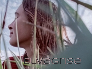 Elvagrise