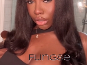 Fung8e