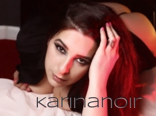 Karinanoir