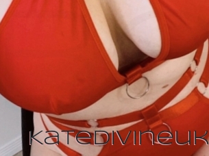 Katedivineuk