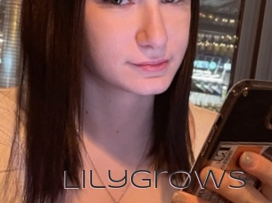 Lilygrows