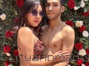 Lizyandmarks