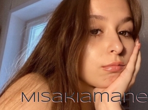 Misakiamane