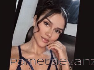 Pamelaevanz