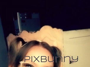 Pixbunny