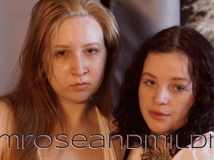 Primroseandmildr