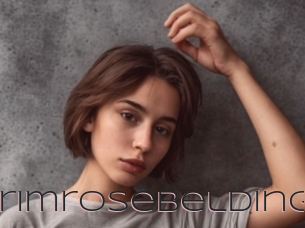 Primrosebelding