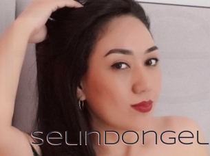 Selindongel