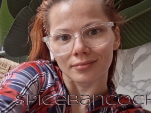 Spicebancock